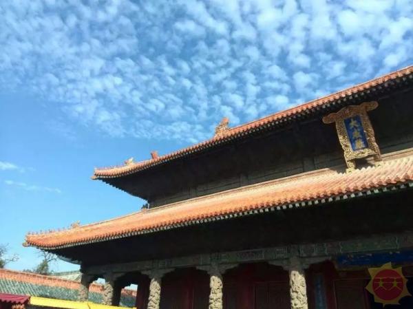 山东，致尊敬的听众朋友们