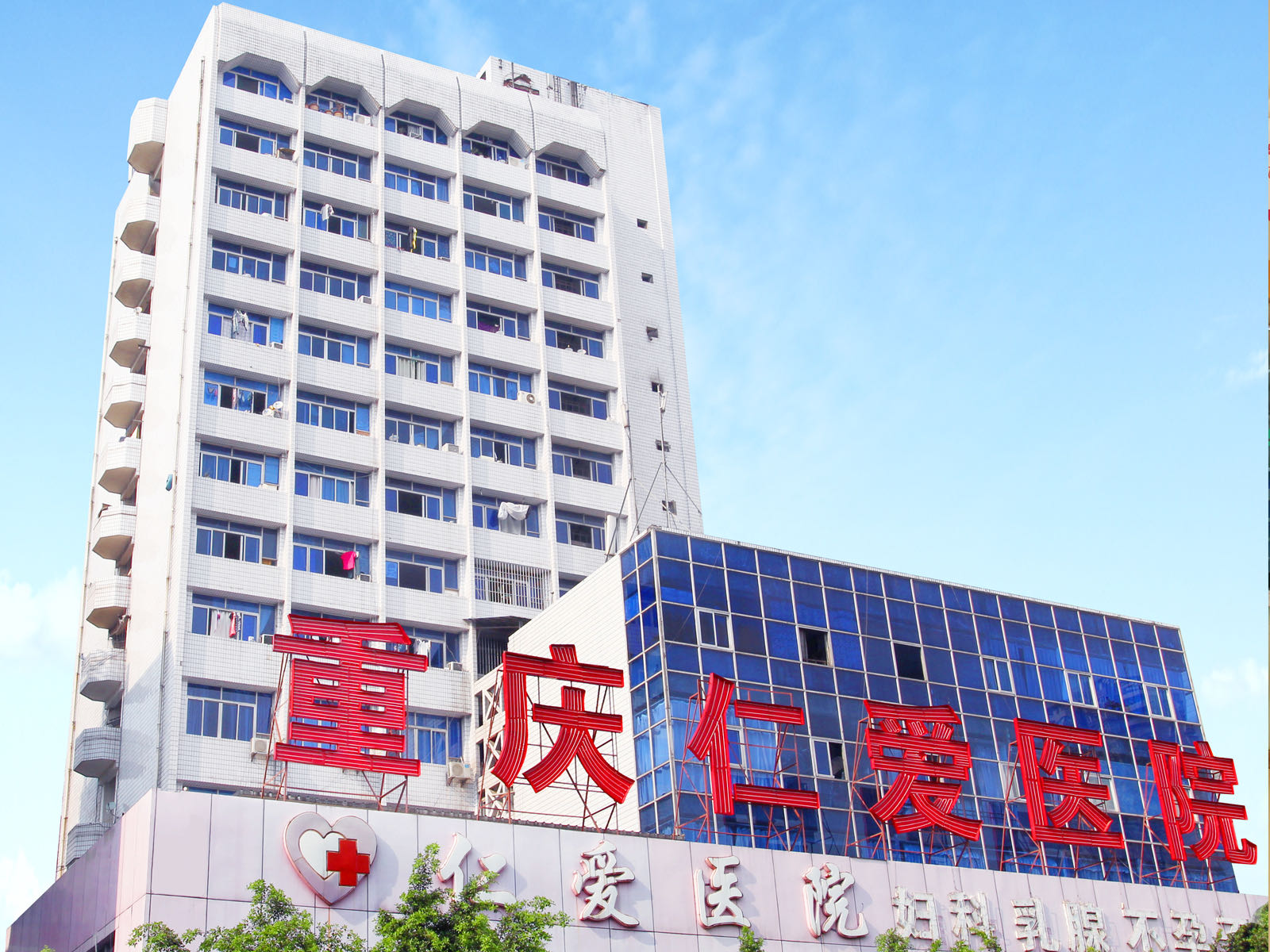 仁爱区盛邀，领导朋友们共聚一堂