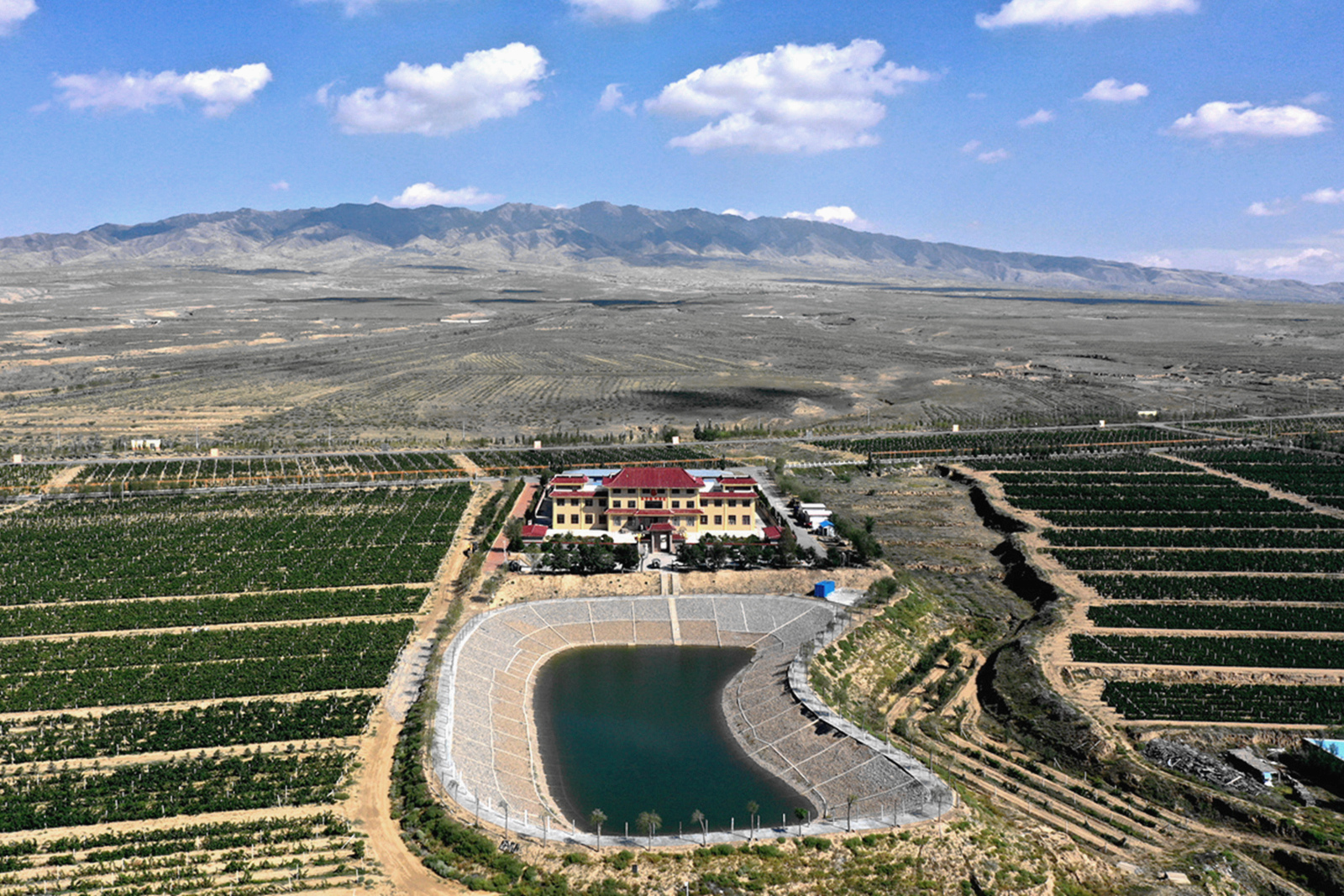 红寺堡区，民族融合与乡村振兴的示范窗口